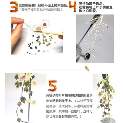 Scene Plant Leaf Generator